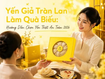 Yến Giả Tràn Lan Làm Quà Biếu: Hướng Dẫn Chọn Yến Thật An Toàn 2026